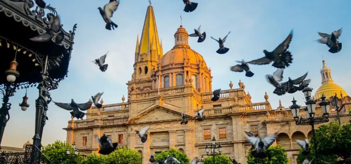 Guadalajara Cathedral's golden baroque facade illuminated at sunset with pigeons soaring overhead