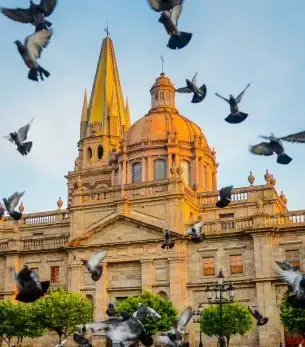 Guadalajara Cathedral's golden baroque towers rise majestically as pigeons soar overhead in Mexico's cultural capital