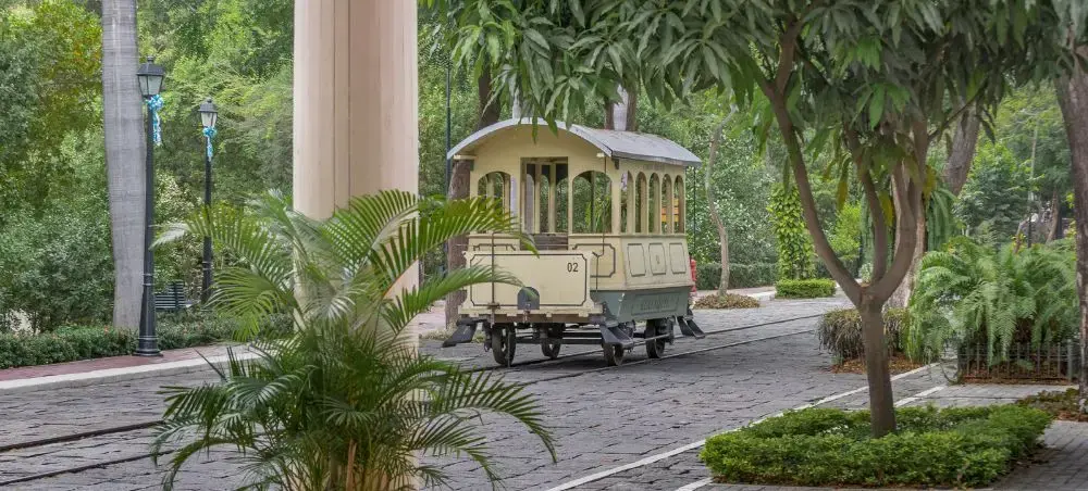 Historic trolley car traveling through lush tropical gardens in downtown Guayaquil, Ecuador