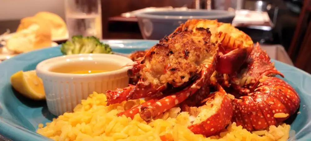 Grilled lobster tail with saffron rice and melted butter served at upscale Hamilton restaurant in Bermuda