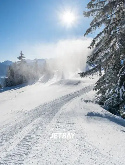 Pristine ski slopes in Innsbruck with snow-covered evergreens and bright alpine sunshine creating perfect winter conditions
