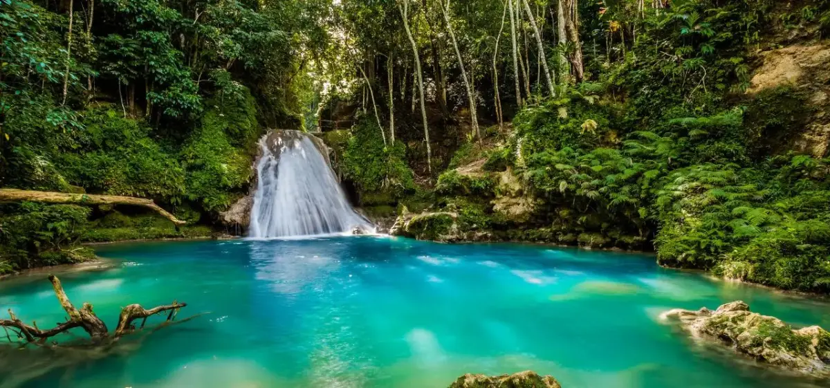 Pristine turquoise waterfall pool surrounded by lush tropical rainforest in Jamaica's natural paradise