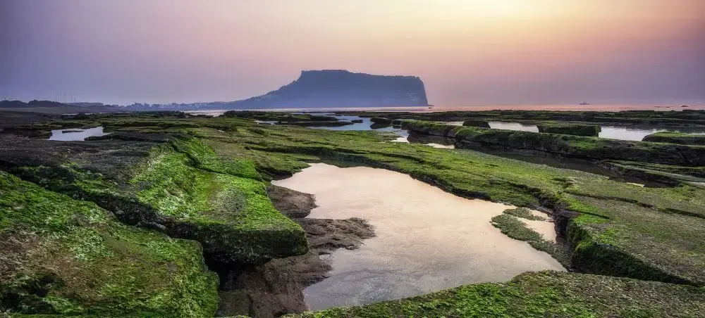 Dramatic coastal landscape of Jeju Island featuring moss-covered volcanic rocks and tidal pools at sunset