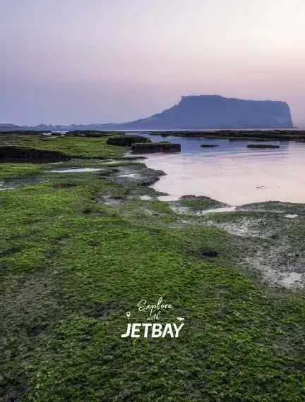 Seongsan Ilchulbong volcanic crater rises from Jeju Island coastline with moss-covered tidal pools at sunset