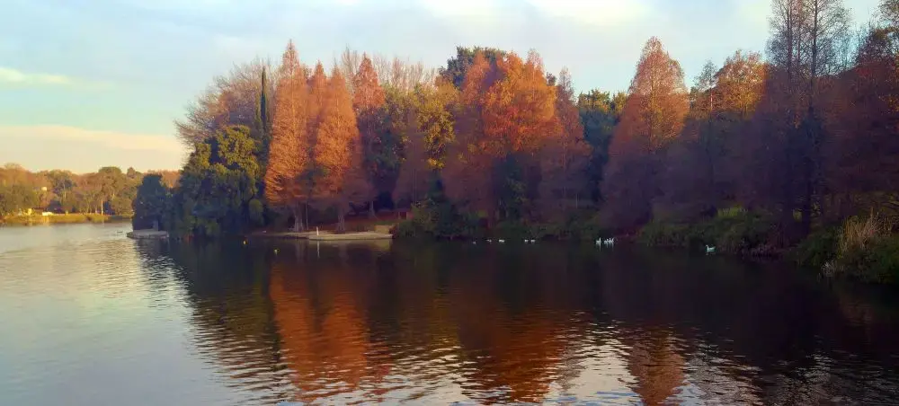 Tranquil lake surrounded by vibrant autumn foliage reflecting golden and orange trees in calm waters