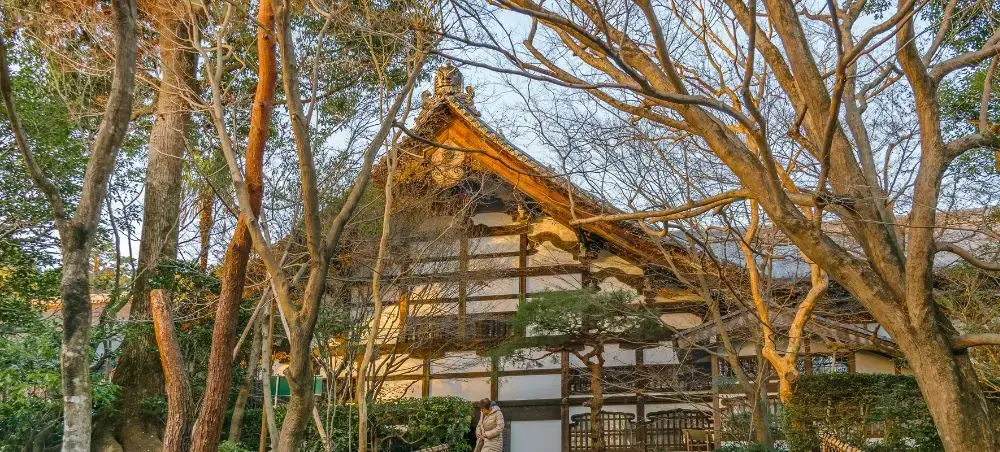 Traditional Japanese temple architecture with golden lighting nestled among bare winter trees in Kyoto