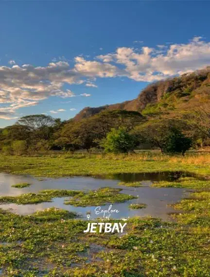 Lush Costa Rican wetlands with rolling hills and dramatic clouds showcasing Liberia's natural beauty