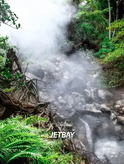 Natural hot springs with steaming mineral water flowing through lush tropical rainforest in Costa Rica