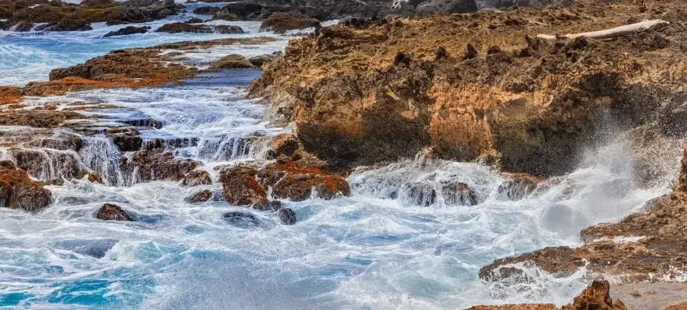 Local cuisine and dining scene in Arikok National Park popular with private jet charter passengers