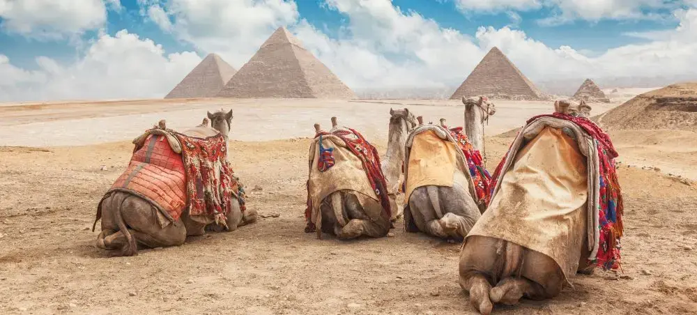 Local cuisine and dining scene in Cairo popular with private jet charter passengers