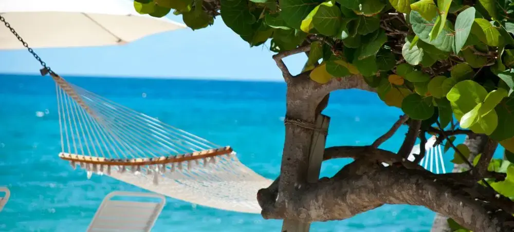 Local cuisine and dining scene in Cayman Islands popular with private jet charter passengers