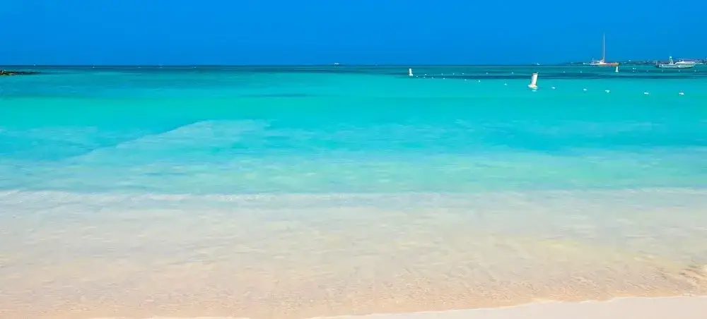 Local cuisine and dining scene in Palm Beach popular with private jet charter passengers