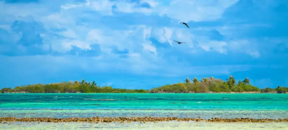 Local cuisine and dining scene in Rangiroa popular with private jet charter passengers