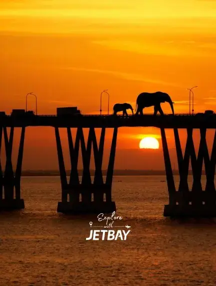 Elephants silhouetted against golden sunset on Maracaibo Lake bridge, showcasing Venezuela's unique wildlife attractions
