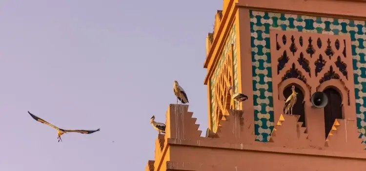 Marrakech
