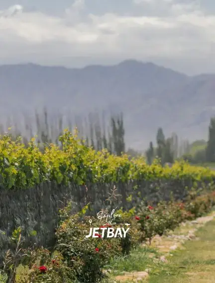 Mendoza international airport runway and private jet FBO terminal handling charter arrivals