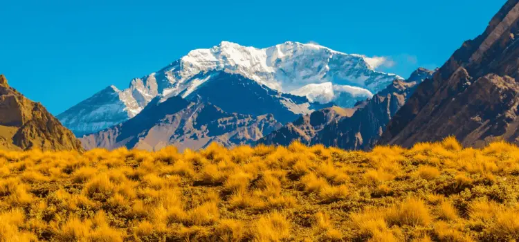 Mendoza