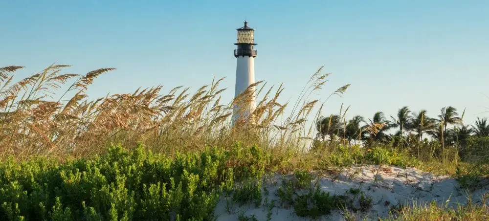 Historic lighthouse surrounded by coastal dunes and palm trees in Miami's tropical landscape
