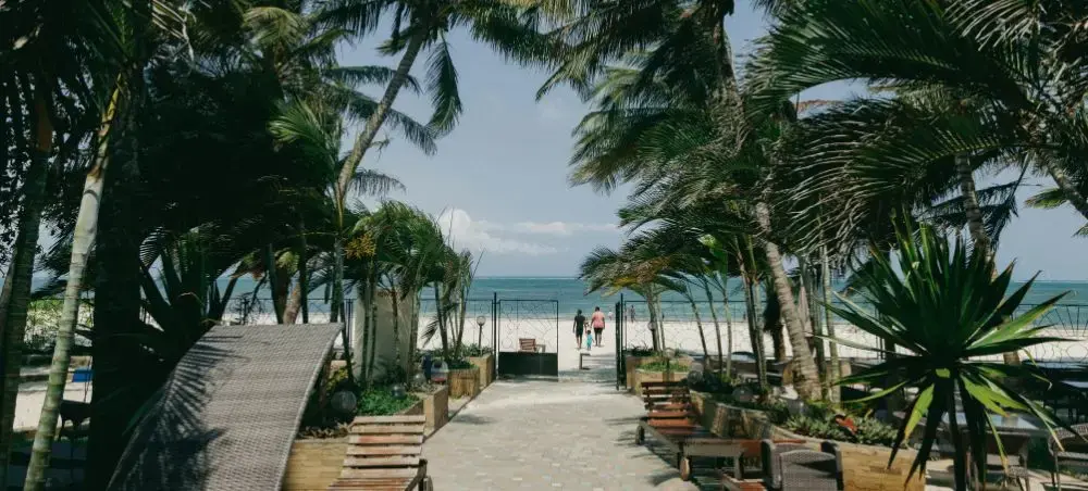 Tropical beachfront resort pathway lined with palm trees leading to pristine Mombasa coastline waters