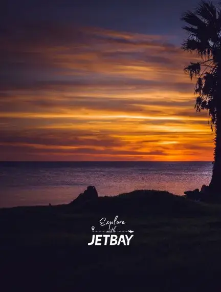 Stunning golden sunset over calm waters in Montevideo with palm trees silhouetted against vibrant sky