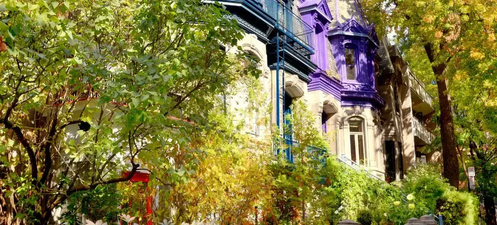 Colorful Victorian architecture with ornate balconies nestled among autumn trees in Montreal's historic neighborhood