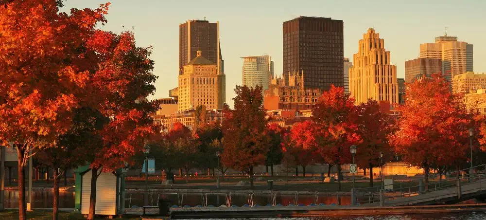 Montreal skyline at golden hour with vibrant autumn foliage framing downtown skyscrapers and waterfront