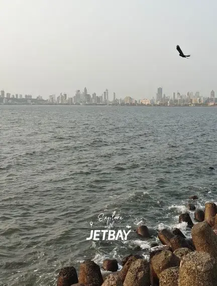 Mumbai skyline viewed from rocky coastline with seabird soaring overhead, showcasing India's financial capital