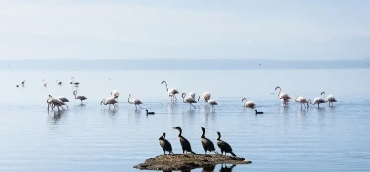 Nakuru
