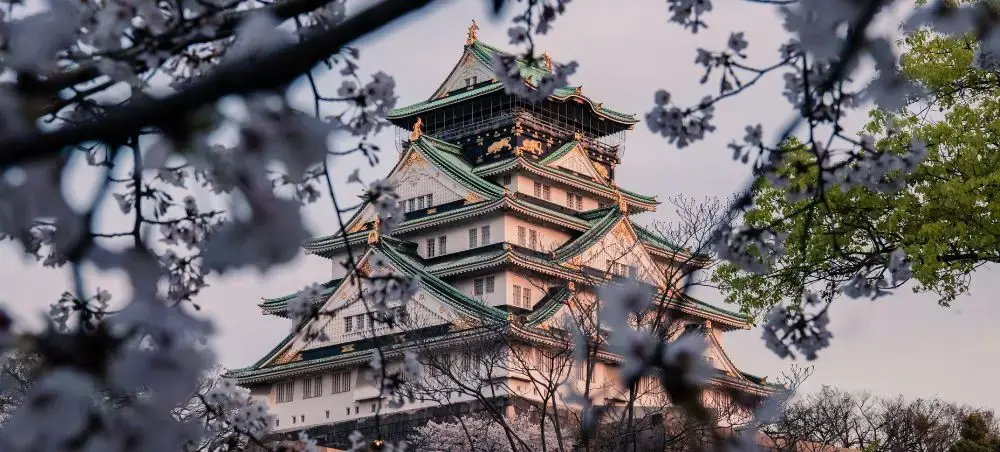 Historic Osaka Castle illuminated at sunset, framed by cherry blossom branches in Japan's cultural capital