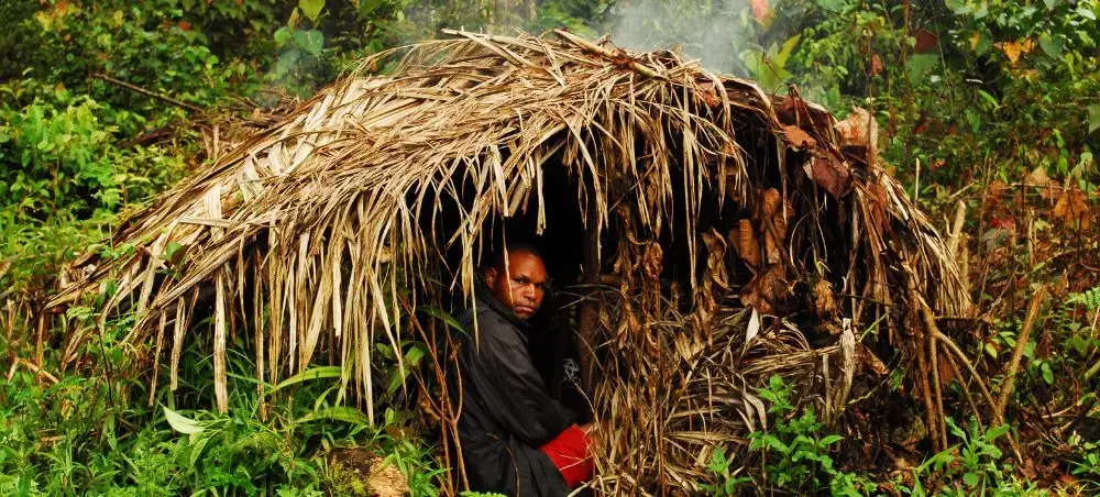 Traditional thatched hut dwelling in Papua New Guinea rainforest showcasing indigenous architecture