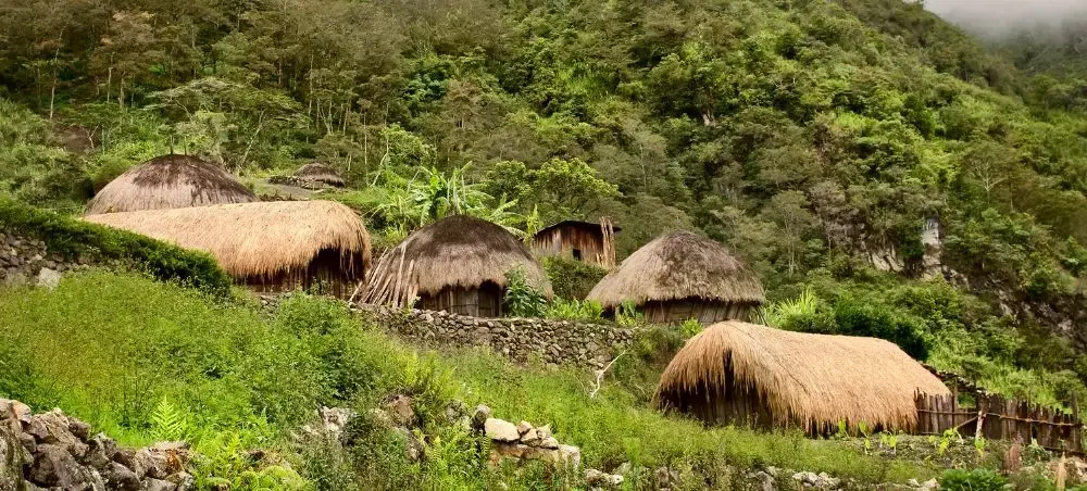 Traditional thatched-roof huts nestled in lush Papua New Guinea highlands showcase authentic village life
