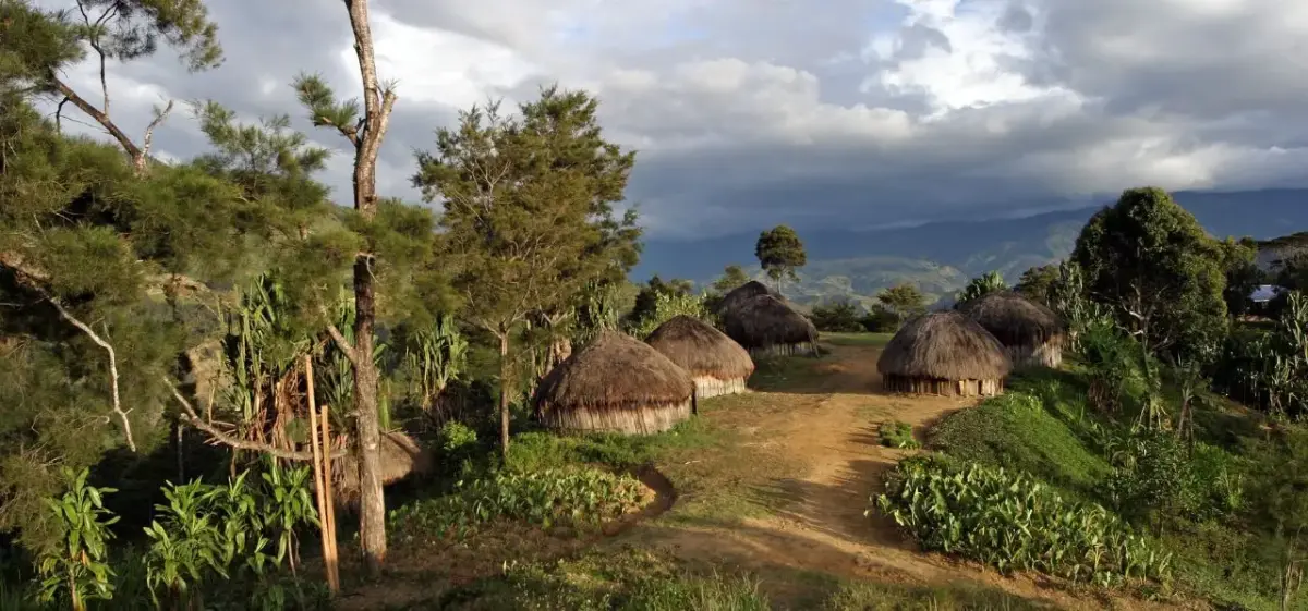 Traditional thatched-roof huts nestled in lush Papua New Guinea highlands with dramatic mountain backdrop