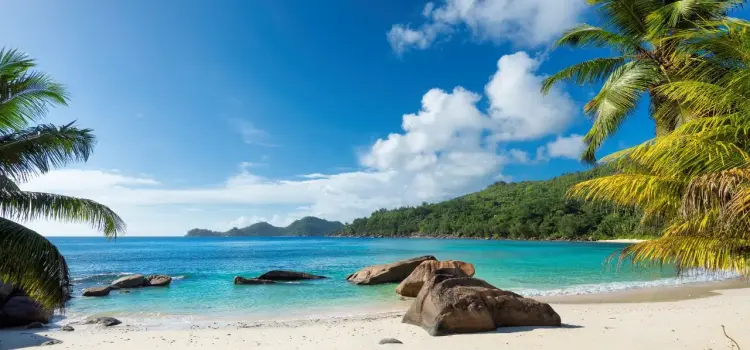 Paradise Island