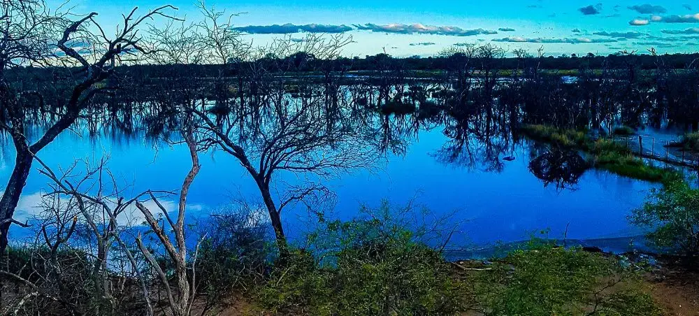 Serene wetland landscape in Paraguay showcasing pristine natural beauty accessible by private jet