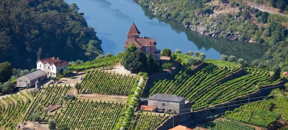 Historic Portuguese winery with terraced vineyards overlooking winding river valley in scenic countryside