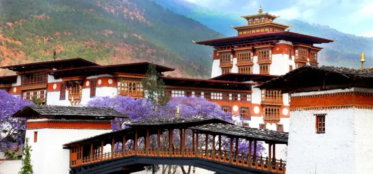 Traditional Bhutanese dzong fortress with ornate architecture surrounded by purple jacaranda blooms in Punakha
