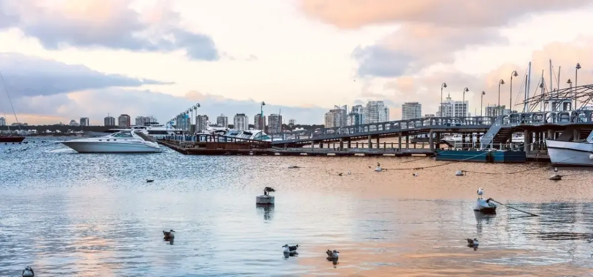 Punta del Este marina at sunset with luxury yachts, modern waterfront buildings, and golden sky reflections