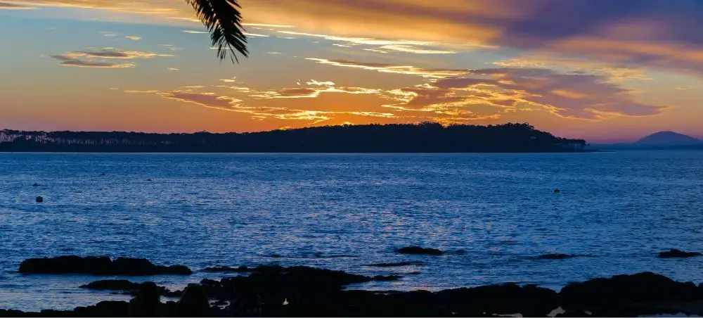 Stunning sunset over calm waters near Punta del Este coastline with silhouetted islands and palm fronds