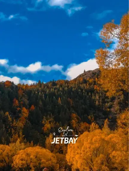 Golden autumn foliage covers mountainous landscape in Queenstown, New Zealand for luxury travel exploration