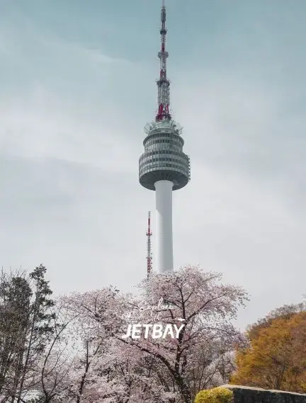 Seoul Tower rising above blooming cherry blossoms during spring season in South Korea's capital city