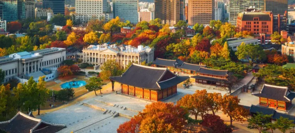 Seoul cityscape showcasing traditional Korean palace architecture amid vibrant autumn foliage and modern skyscrapers
