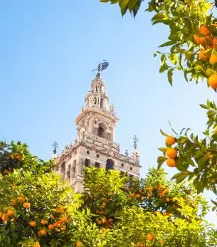 Seville skyline and landmark attractions seen on descent during a private jet charter approach