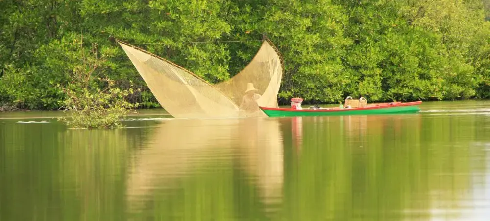 Traditional Cambodian fishing boat with large nets on tranquil river surrounded by lush tropical vegetation