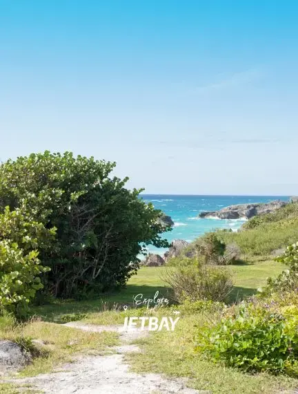 Scenic coastal path through lush vegetation leading to turquoise waters in Southampton, Bermuda