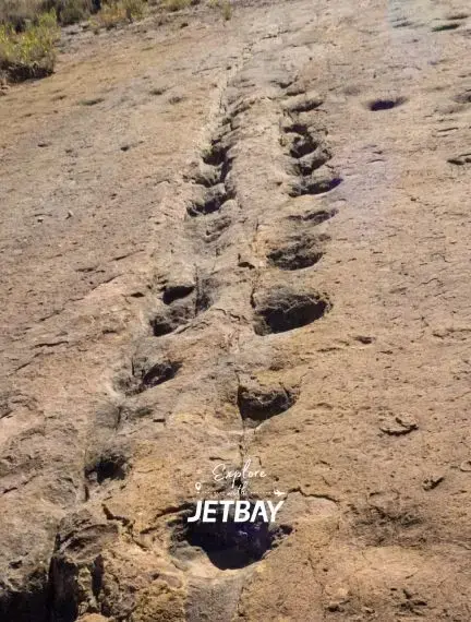 Ancient dinosaur footprints preserved in limestone rock formations near Sucre, Bolivia's paleontological site