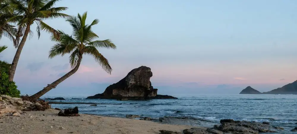 Pristine Fiji beach at sunset with swaying palm trees and volcanic rock formations in turquoise waters