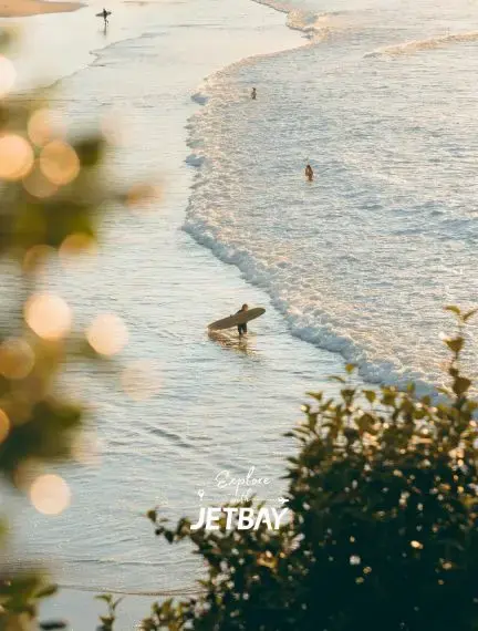 Golden hour waves gently lapping Sydney beach shore with seabirds wading in pristine coastal waters