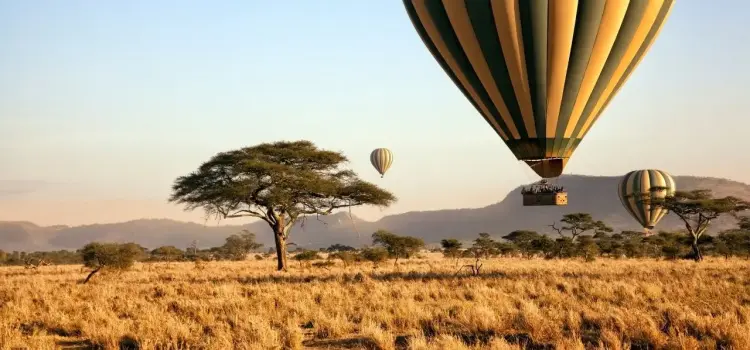 Hot air balloons floating over golden savanna landscape with acacia trees in Tanzania at sunrise