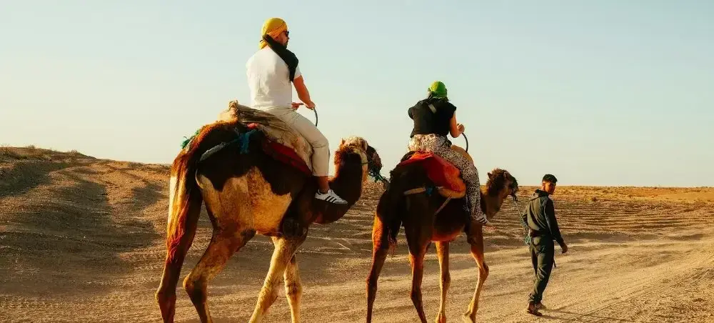 Tropical landscape and palm-lined streets of Marrakech on a private jet charter trip