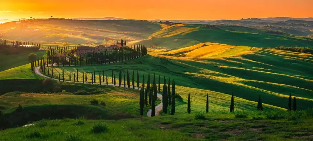 Golden sunset illuminates rolling Tuscan hills with cypress-lined winding road through green countryside